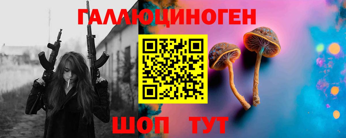 наркотики  Вход с VPN  Новодвинск  Псилоцибиновые грибы Cubensis 