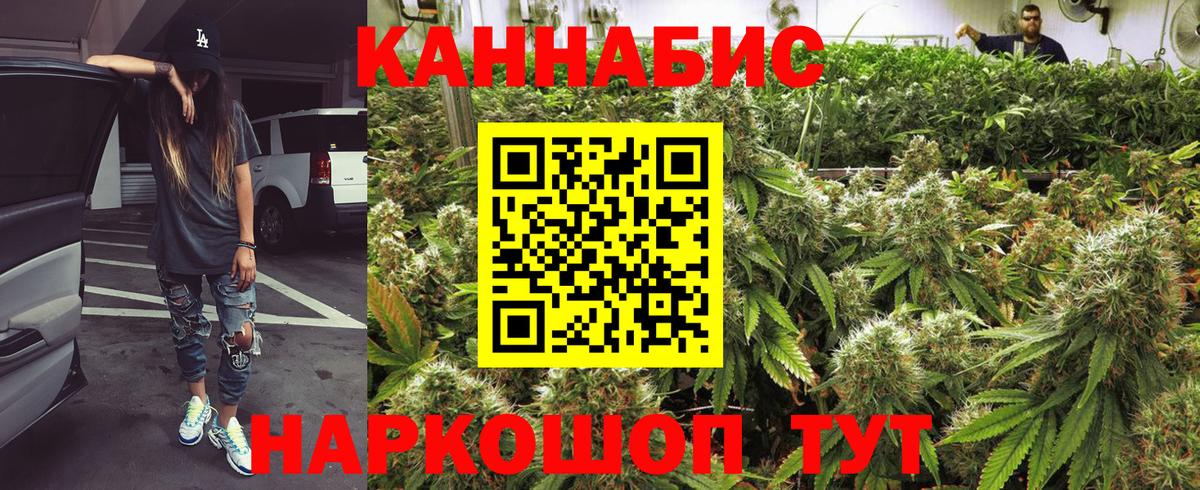 Бошки Шишки OG Kush Новодвинск